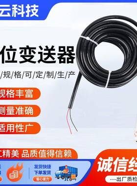 一体式液位变送器投入式液位传感器水位显示器不锈钢电子水位计