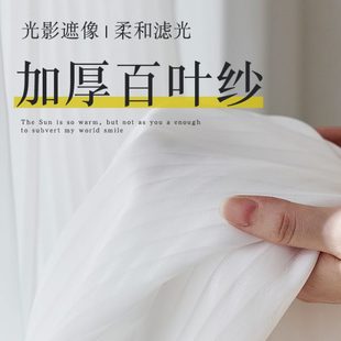 网红竖条纹百叶纱白色窗纱客厅阳台卧室飘窗遮光垂直梦幻窗帘新款