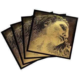 德国IO皮拉斯托金美人小提琴弦DG弦黑美人银金G