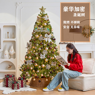 饰DIY客厅摆件2024新款 圣诞树套餐高级感大l型圣诞节装 家用耶诞树