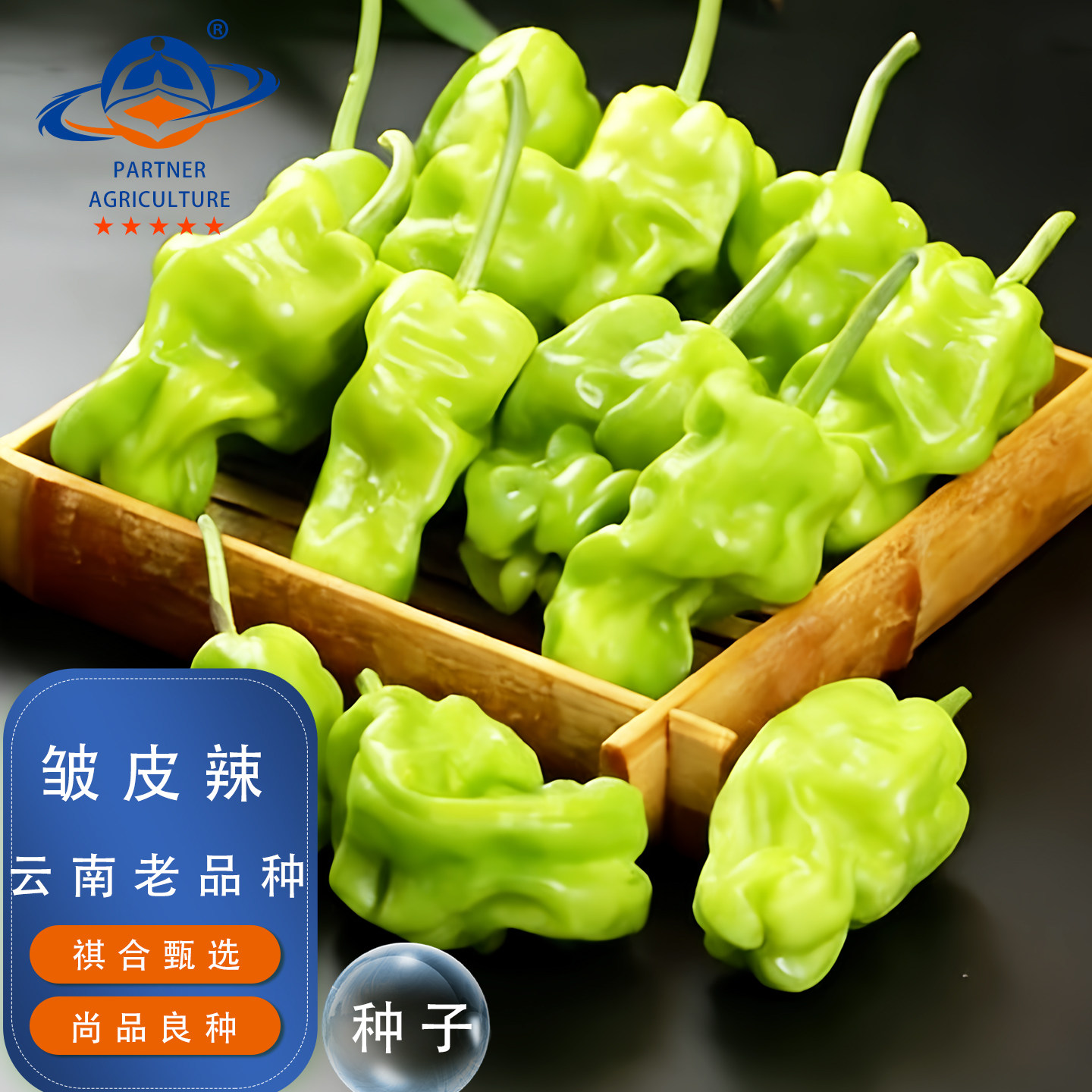 云南老品种皱皮辣椒种子图片