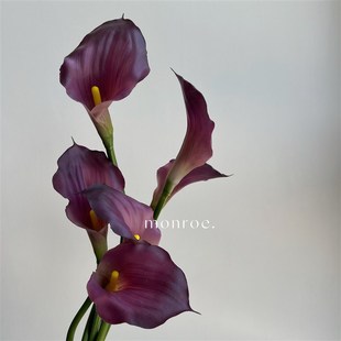 海芋 仿真花马蹄莲紫色手感假花大号高档装饰摄影插花绢花鲜花