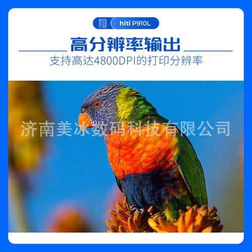 呈妍hitiP910L热升华照片打印机 照相馆图文店打印机商用便携式