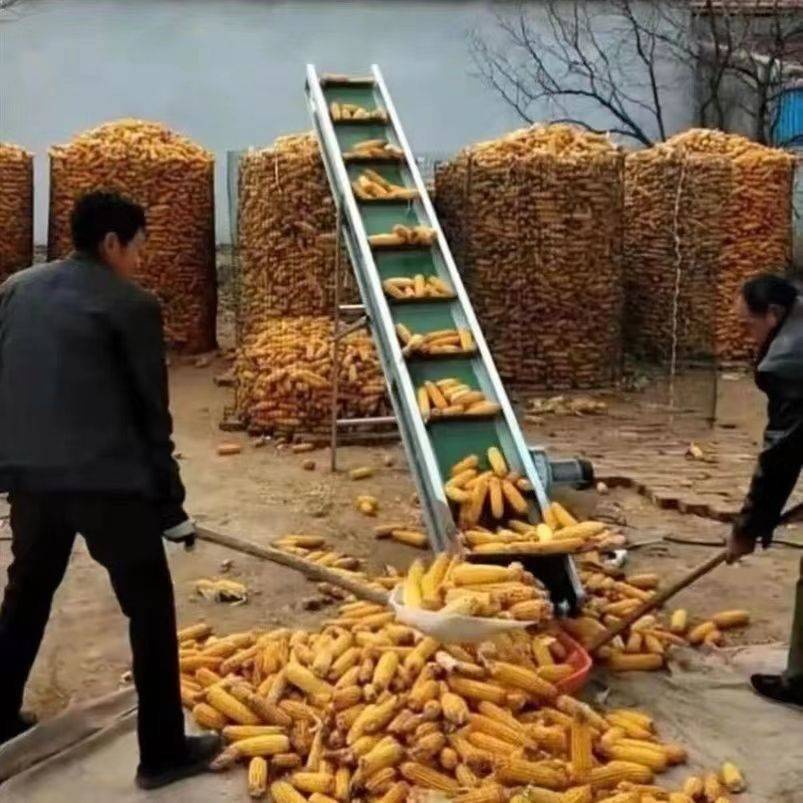 玉米上棒机小型家用输送带小麦颗粒传送带水果装车神器流水线提升