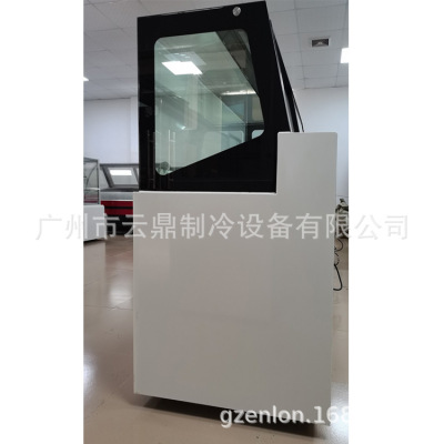 厂家新款 九盘雪糕柜 gelato showcase 110V 硬冰淇淋展示柜