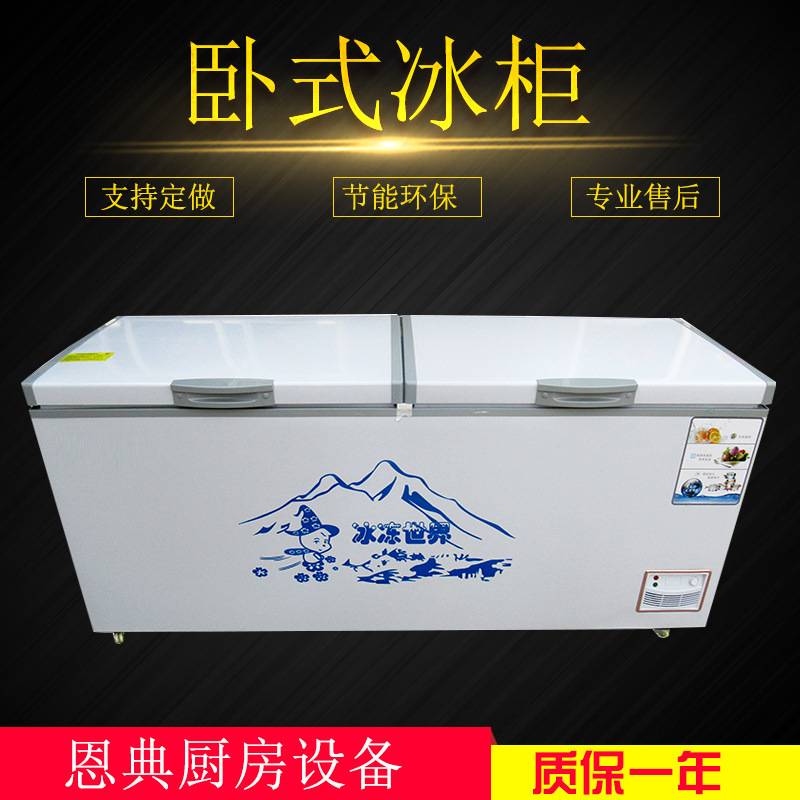 大容量铜管商用冷冻柜冷藏柜大冰柜节能联保冷冻