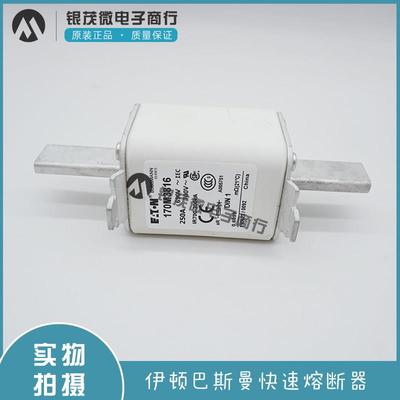 巴斯曼熔断器170M1561 1569 3816 3818 5812 5813 6410 6810 7064