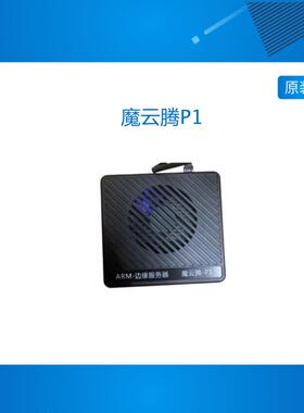 魔云腾P1 双PCIE4.0X4 nvme NPU 10TOPS 32G 48G 64G定制控制台