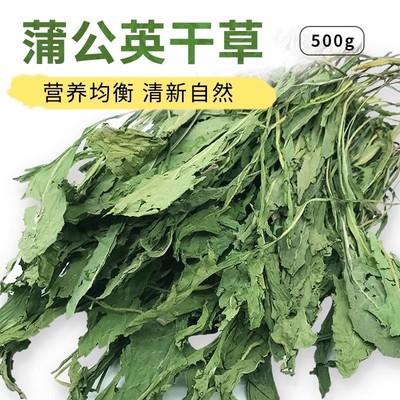 烘干蒲公英干草兔子牧草豚鼠兔兔龙猫零食草菊苣草荷兰猪牧草500g
