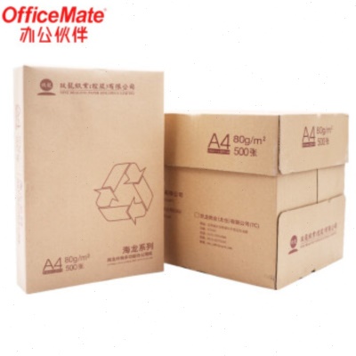 玖龙 牌海龙系列复印纸公A3A4打印纸复印纸70g/80g 500张/包