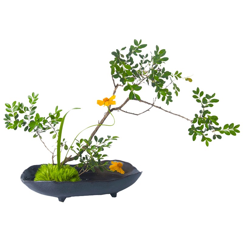 陶瓷花盘黑色不规则花器中式禅意插花器皿K剑山插花器方形船型日