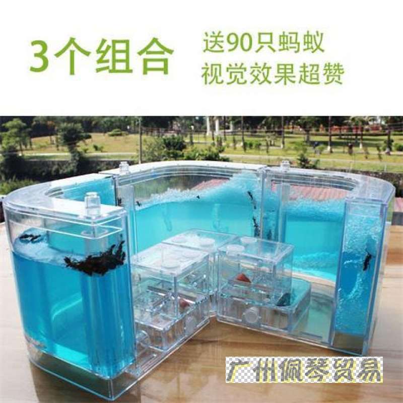 蚂蚁生态箱豪华宠物蚂蚁工坊蚂蚁别墅多个家园串联互通送蚂蚁