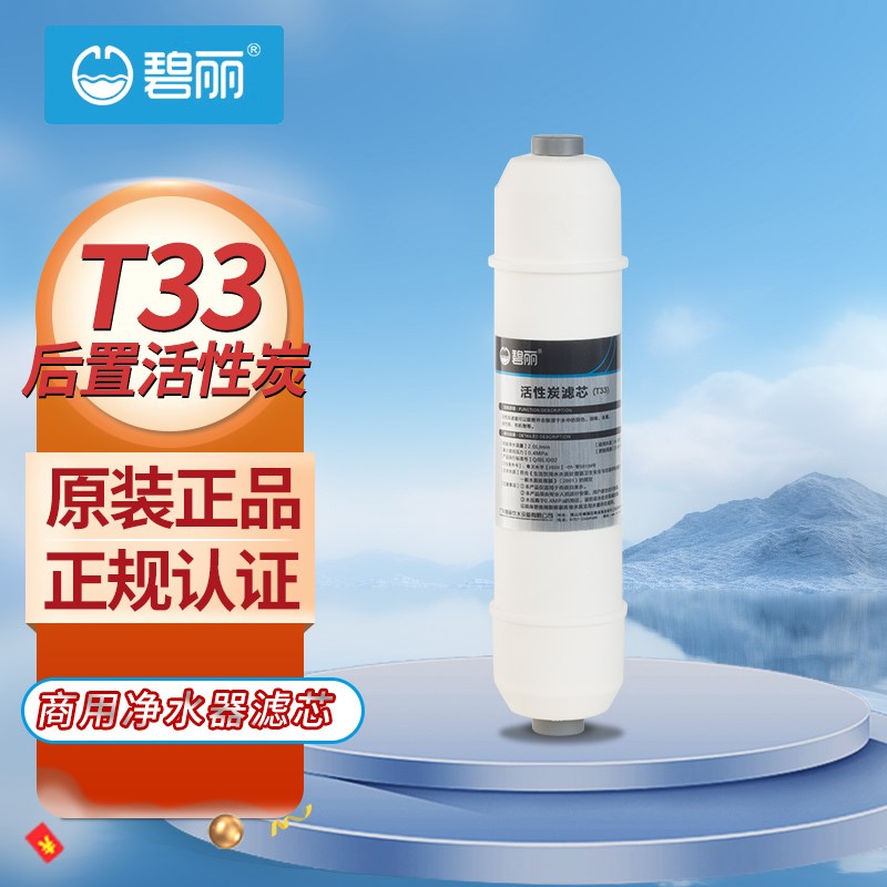 碧丽老款机型滤芯超滤RO膜冰机净饮开水机器原装滤芯康丽源通用