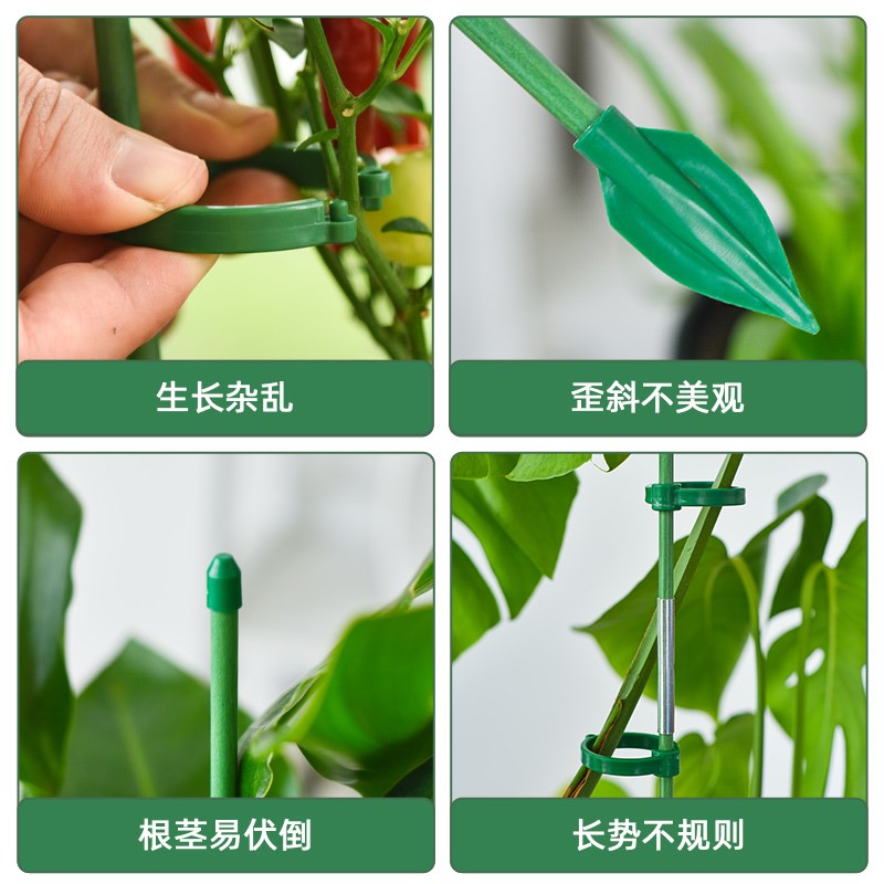 辣椒茄子番茄西红柿支撑架爬藤支撑杆防倒伏支架防倒固定支架