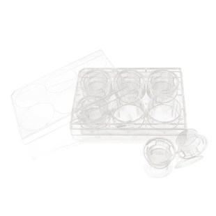 孔孔孔 膜细胞小室培养板 nwll