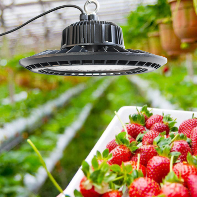喜浪草莓蔬菜月季花兰花卉植物生长灯绿植盆栽全光谱仿太阳补光灯