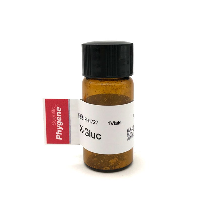 GU染色液 即用型  植物基因表达分析 10 [PH1727 PHYGENE]