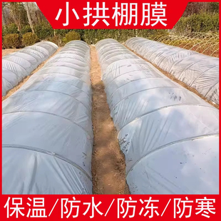 农用小拱棚膜种菜种植专用白色地膜保温育苗公路防护透明塑料薄膜