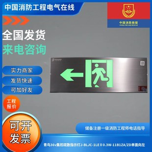11B1ZA 1LE0.3W ZD单面向左 BLJC 北大青鸟36v集控疏散指示灯J