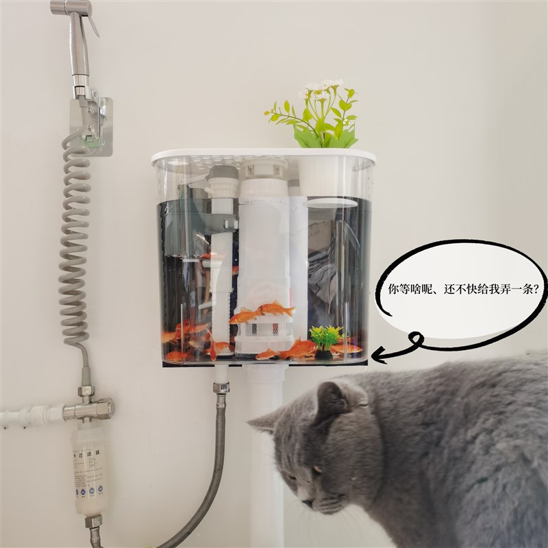 马桶透明水箱养鱼养花水箱卫生间蹲便座便器冲水箱挂墙厕所冲水