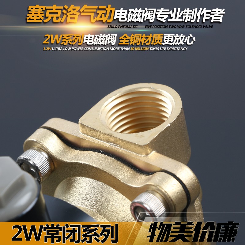 气动电磁阀2W200-20/6分常闭二通水阀铜DN20电磁控制阀AC220V 24V