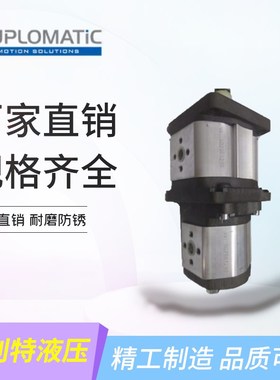 DUPLOMATIC迪普马 双联齿轮GP1R0041RF20NH+GP1F0041R97F20N油泵