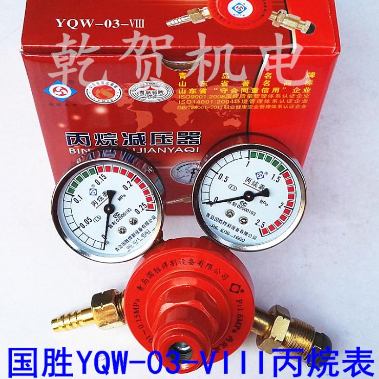 YQW-03-VIII 丙烷减压器 丙烷表 压力表 青岛国胜