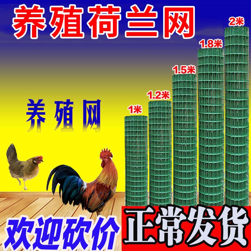 荷兰网铁丝网围栏网铁网格网子家用养鸡护栏围网加粗小孔户外隔离