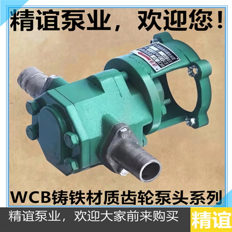 高温电动齿轮油泵WCB-30/50/75/100自吸油泵手提油泵抽油泵头系列