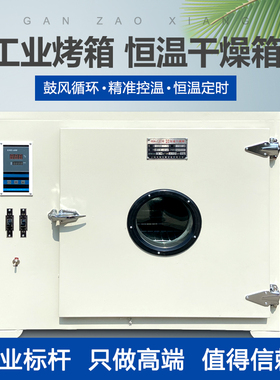 电热恒温鼓风干燥箱实验室高温工业烘干箱烘干机小型烘箱恒温烤箱