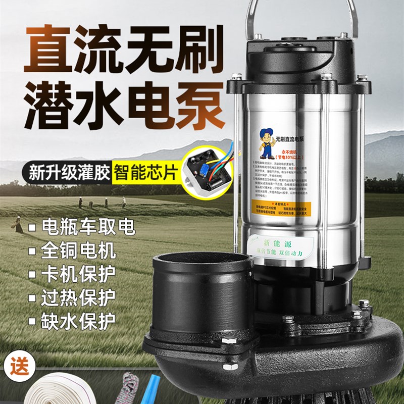 无刷直流潜水泵高扬程48V60V72V家用电动电瓶车抽水泵农用抽水机