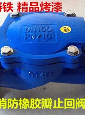 橡胶瓣止回阀H44X-16  球墨铸铁止回阀 旋启式止回阀 DN50 80 100