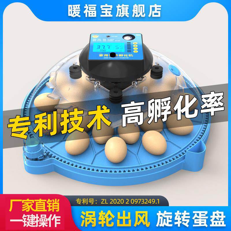 高端孵化器小型家用全自动智能小飞碟孵蛋器鹦鹉芦丁鸡鸟蛋孵化箱