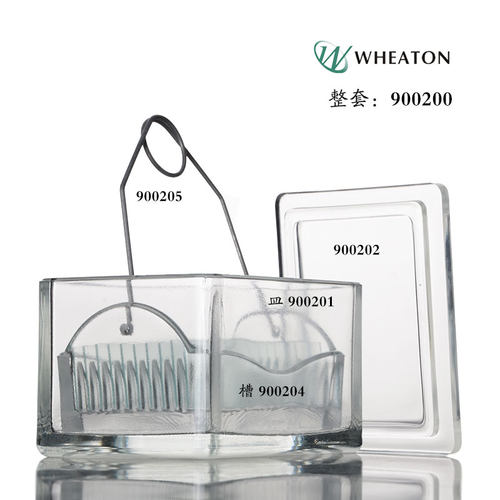 进口Wheaton 900200染色皿玻璃染色缸整套可放20片载玻片含架盖子