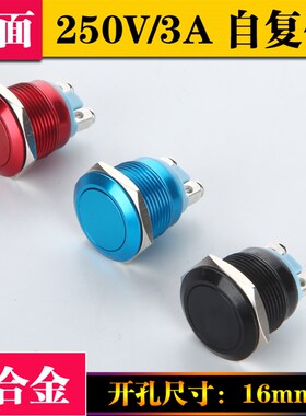 防水16mm金属按钮开关 平头点动自动复位锌合金  银触点二螺丝脚