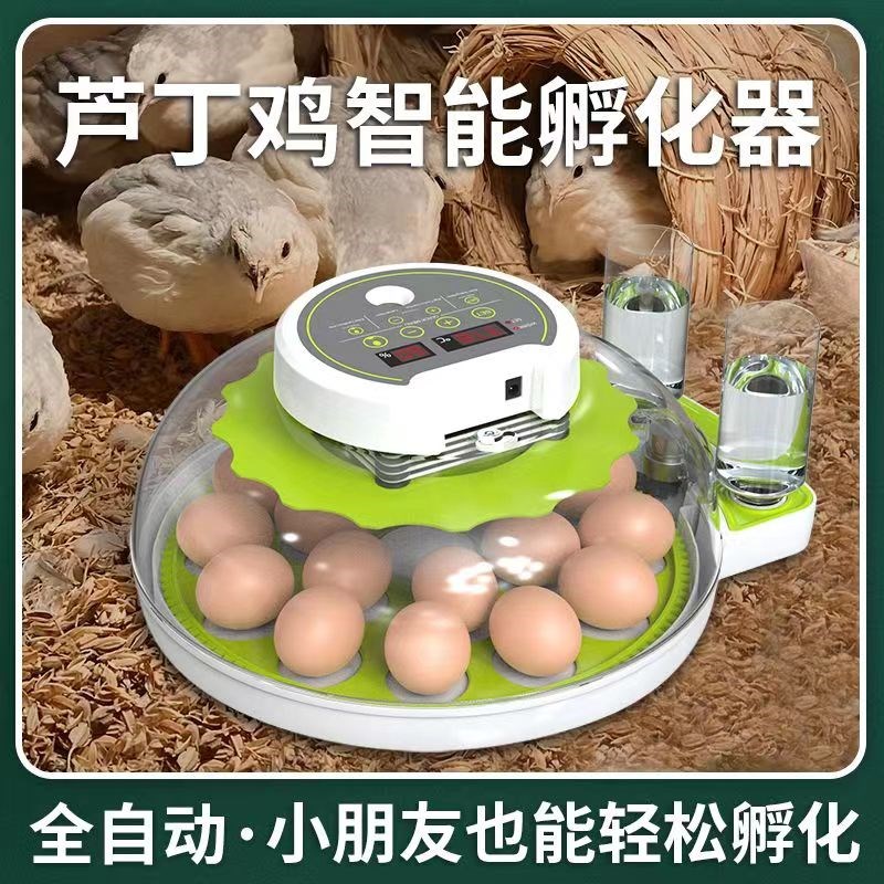 孵化器小型家用全自动孵化机智能孵蛋器芦丁小鸡鹤蚂鸭鹅孵化箱