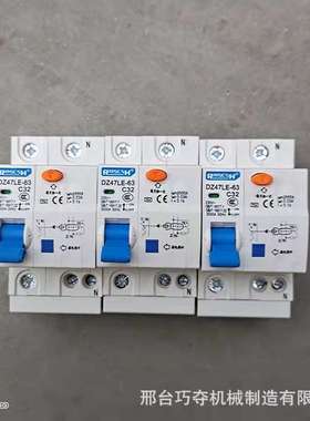 漏电断路器DZ47LE-63/1P2p 家用防雷电闸二相断路器空开总闸63a