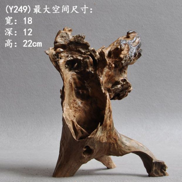 天然硬枯木整体随造形 微景观造景搭配 案台桌摆件 室内软装饰品