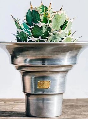 木村龟甲龙多肉金属盆Masses m&m龙舌兰象足漆树铝制块根花盆