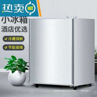 双开门家用迷你宿舍小冰箱  超划算租房酒店客房用冷冻冷