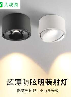 大观园明装射灯防眩小山丘客厅无主灯吸顶筒灯过道led天花灯 495L