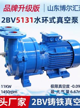 2BV5131铸铁真空泵11kw水环式真空泵抽气泵循环水泵淄博厂家
