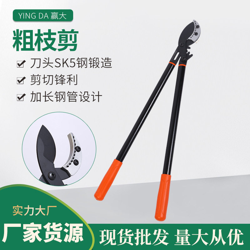 赢大新型粗枝剪大力剪园林园艺伸缩果树剪摘果剪园林工具