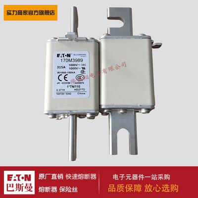 熔断器170M3982 170M3983 170M3984 170M3985 170M3986 170M3987