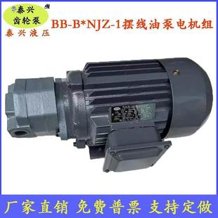 B25NJZ 1摆线齿轮油泵电机组BB B32N 40东高 B20N B16NJZ