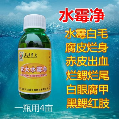 鱼饲料添加剂水产养殖水霉净白毛病腐皮烂身烂鳃烂尾出血专治鱼药