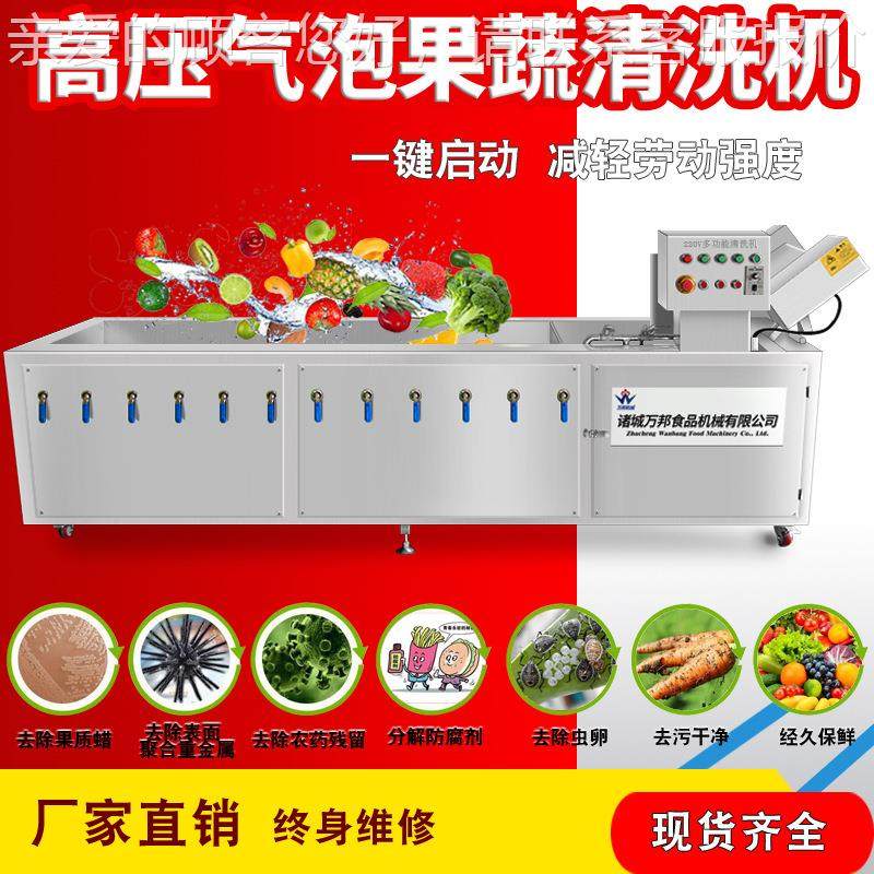 厂家现货苹梨果喷自淋清洗机 全动砂糖果蔬清洗机SSJ山楂 清洗机