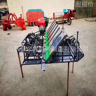 手LXI扶插苗秧机 汽油水行插秧机 4行稻6稻插秧机价格