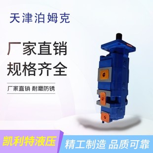 天津泊姆克高压双联齿轮泵P124 G10182LD54G采煤矿山机械设备耐磨