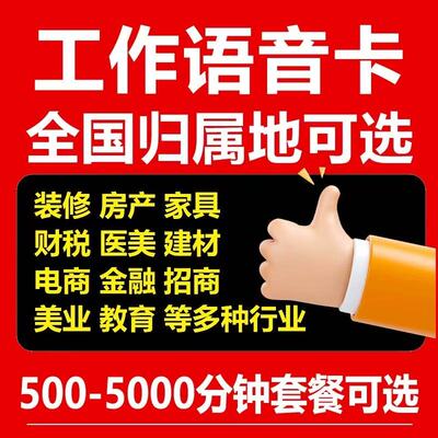 自选归属地企业工作专用卡语音卡通话王纯打电话金融房产教育通用